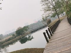 -眉山湿地公园(东坡区)