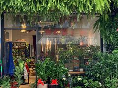 -溪岸路花鸟市场