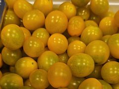 -蒙都43°9羊火锅·赤峰美食(宁城店)