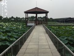 -成都美盈都市现代农业示范园