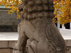 -北京石刻艺术博物馆(五塔寺)