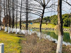 -九里河湿地公园