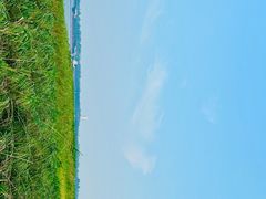 -上海吴淞炮台湾国家湿地公园