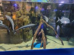 -欢乐海岸海洋奇梦馆