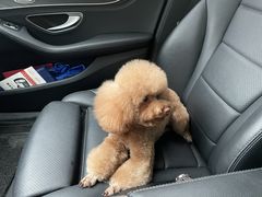 -佳雯宠物医院(金华南路分院)