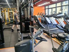 -健身专家Wellness Experts