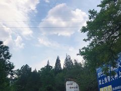 -白水寺森林公园