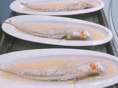 刀鱼-阳光海鲜城(太仓万达店)