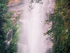 -莫里热带雨林景区