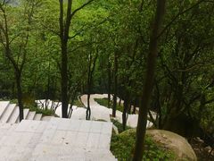 -火炉山森林公园