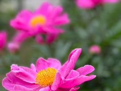 -合肥三国新城遗址公园