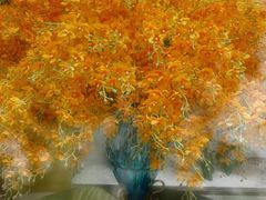 -海玥荟海鲜姿造自助餐厅(欧罗巴广场店)