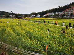 -红山村