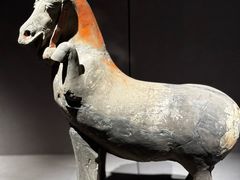 -大同市博物馆