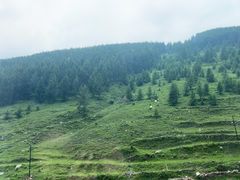 -云座·时光·观景咖啡厅(五爷庙店)