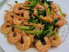 -大班家政月嫂育儿嫂(深圳NO.1店)
