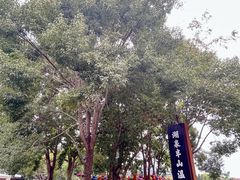 -湖泉半山温泉