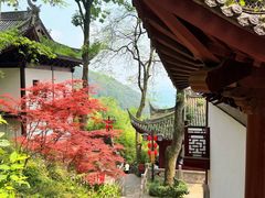 -韬光茶庵