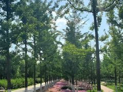 -汉长安城未央宫国家考古遗址公园