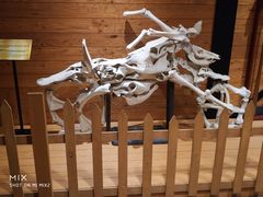 -信不信由你博物馆