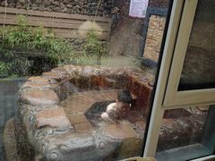 -北京益泉花园酒店