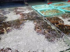 -渔傅·蓝海岸霞浦海鲜(正祥店)