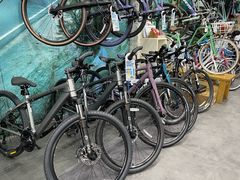 -GIANT捷安特自行车专卖店(金桥台儿庄路店)