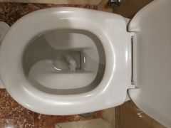 -新加坡文华东方酒店