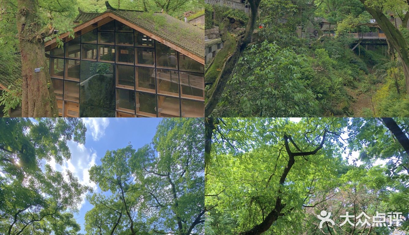 重庆小众景点｜🌳金刚碑古村落