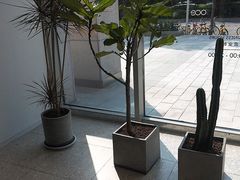 -OCE(熙地港购物中心店)