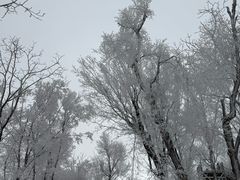 -中旅松花湖滑雪场