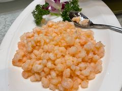 清炒虾仁-新聚丰菜馆(太监弄店)