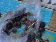 -龍城柳州螺蛳粉(群星路店)