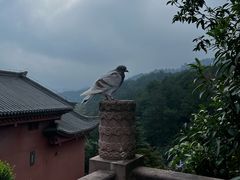 -綦江古剑山