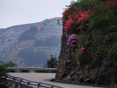 -大罗山风景区