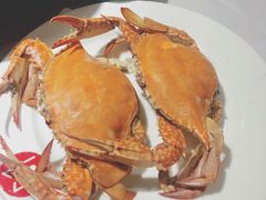 -开海·红岛海鲜虾水饺(石老人店)