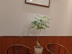 -老雒阳面馆·水席(洛宁高速路口店)