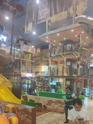 -卡通尼·Safari非洲探索乐园·生日会(金桥国际商业广场店)