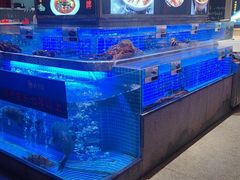 水产区-鸽子侯·家宴·平价海鲜(绿地店)