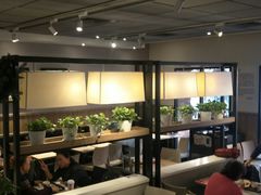 大堂-肯德基(新凌云店)