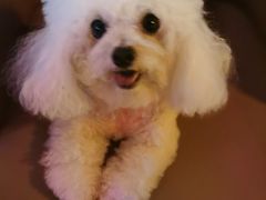 -阿卡贝拉音乐汇(印象城店)