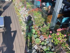 -野菌皇海景野生菌火锅(滨海大道店)
