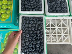 -大连果菜批发市场