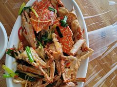 -海胆公主南澳岛美食海鲜