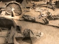 -洛阳周王城天子驾六博物馆