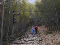 -仙霞关景区