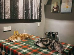 -咖法森林·咖啡  酒吧(天河店)