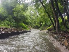 -天目湖松岭竹海漂流