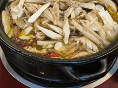 -蘑统田下·野生菌火锅