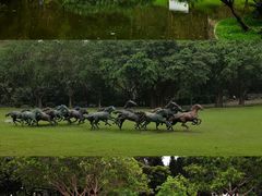 -广州雕塑公园